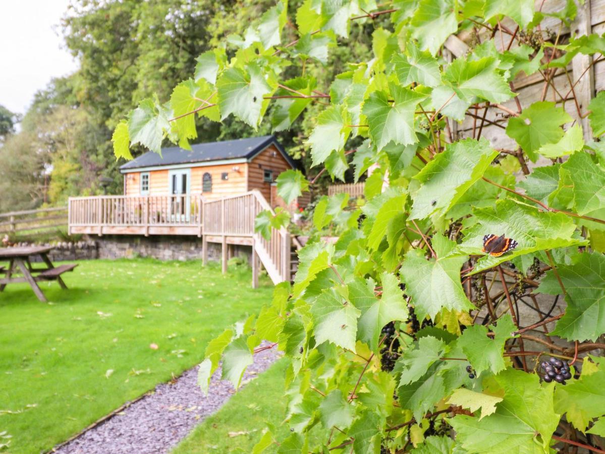 Chateau Petit Caersws Exterior photo